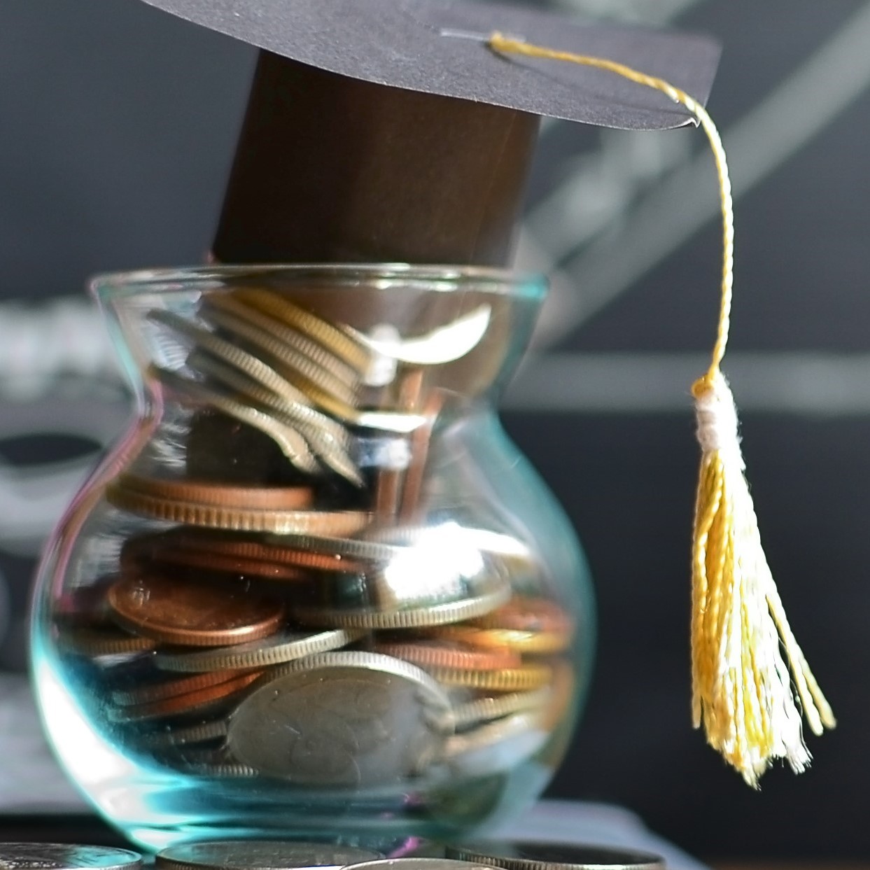 Student Loan (With Calculator)